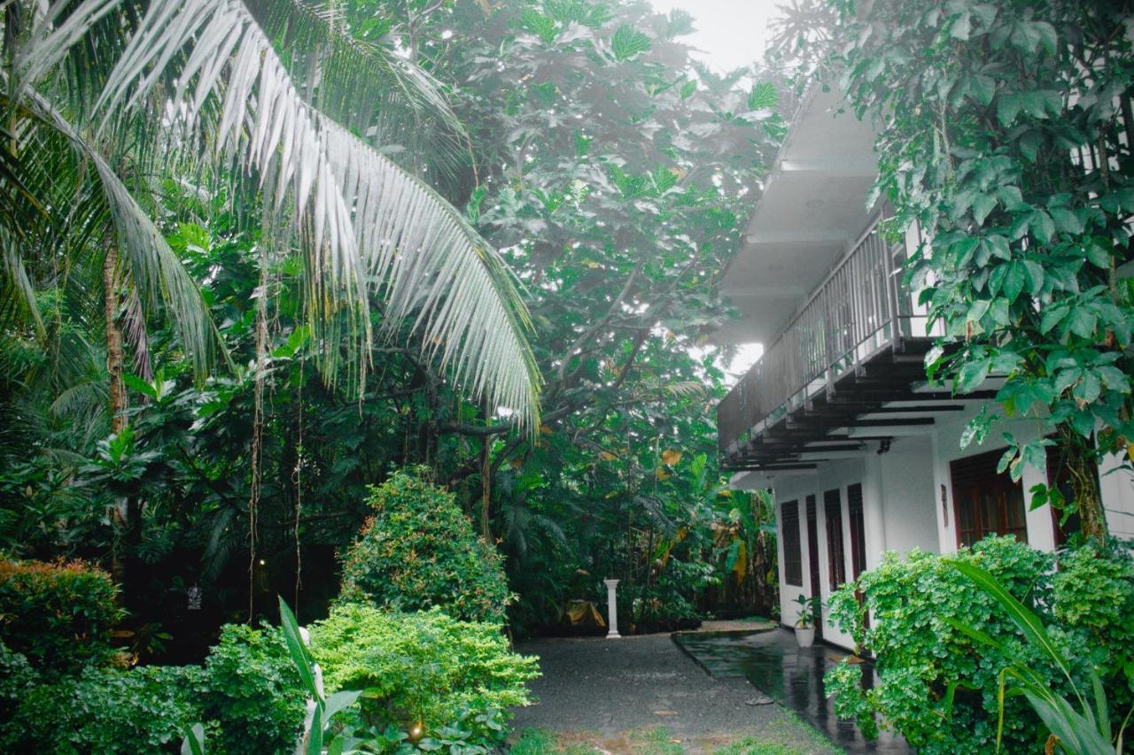 Hotel Bananas Mirissa Exterior foto